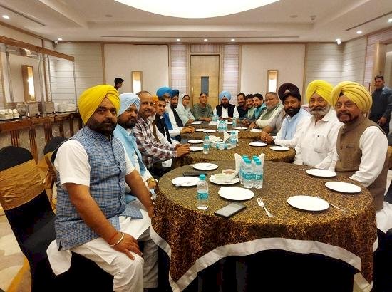 जालंधर उपचुनाव के लिए आप की तैयारियां जोरों पर