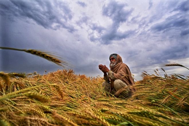 खेतों में पानी भरा, लुधियाना जिले का सिधवां बेट सबसे ज्यादा प्रभावित