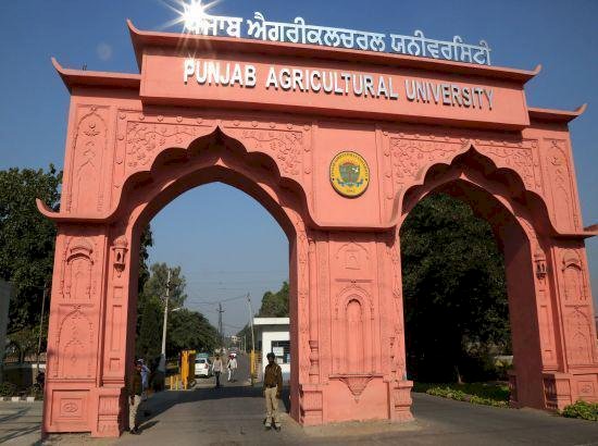 पीएयू के छात्र ने कनाडा में पोस्टडॉक्टोरल रिसर्च एसोसिएट पद हासिल किया