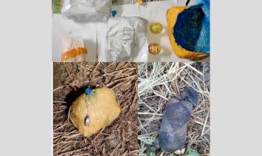 बीएसएफ ने फिरोजपुर भारत-पाक सीमा के पास मोज़े में ड्रोन से गिराई गई हेरोइन पकड़ी