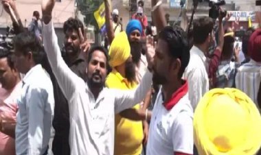 जालंधर लोकसभा उपचुनाव में पार्टी की बढ़त के बाद आप कार्यकर्ताओं ने पटाखे फोड़े