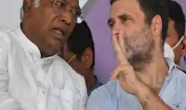 कांग्रेस ने अध्यादेश के खिलाफ आप को समर्थन नहीं देने का दिया सुझाव, पार्टी आलाकमान पर छोड़ा फैसला