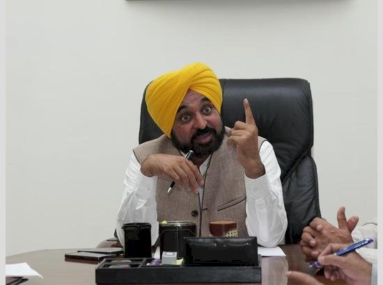 पंचायत, शामलात व वन विभाग की जमीनें 31 मई तक नि:शुल्क करें, नहीं तो होगी सख्त कार्रवाई : सीएम मान