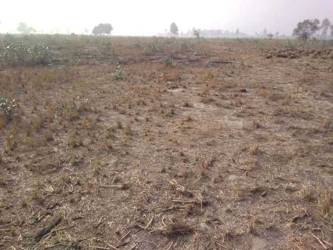 पर्ल लैंड घोटाले की जांच करेगा विजिलेंस ब्यूरो