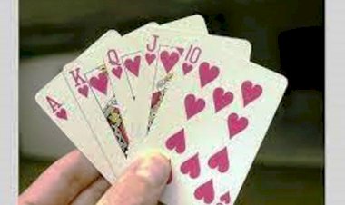 फिरोजपुर पुलिस ने 6 को पकड़ा, जुए के आरोप में जमानत पर रिहा