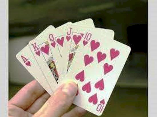 फिरोजपुर पुलिस ने 6 को पकड़ा, जुए के आरोप में जमानत पर रिहा