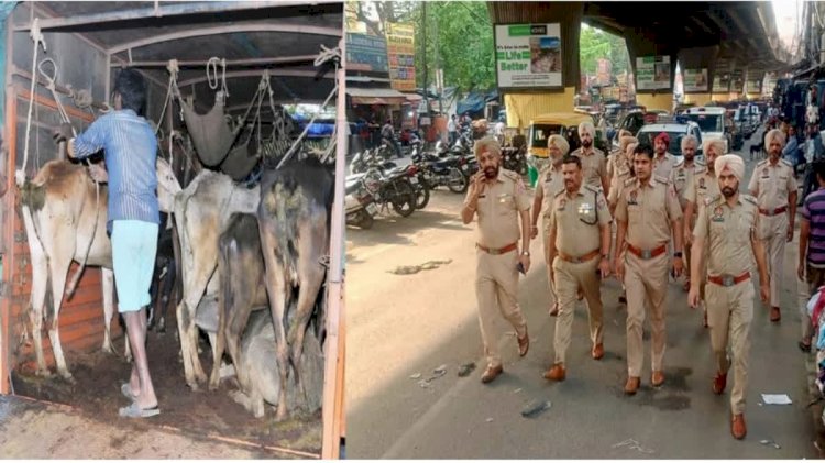 गोवध अधिनियम के तहत आरोपित व्यक्तियों पर पंजाब पुलिस ने शिकंजा कसा