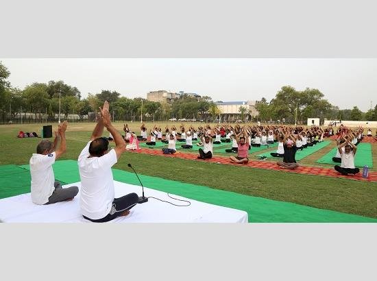 पीएयू में 300 प्रतिभागियों ने योग कार्यक्रम में भाग लिया