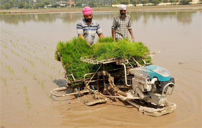 फाजिल्का जिले ने धान की सीधी बिजाई का लक्ष्य हासिल कर लिया