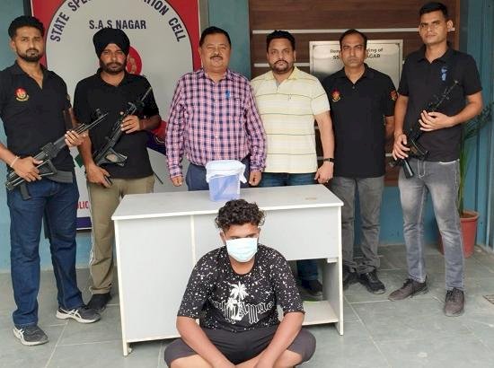 पंजाब पुलिस ने लॉरेंस बिश्नोई गैंग के नाम का फायदा उठाने वाले जबरन वसूली रैकेट का भंडाफोड़ किया, एक गुर्गा पिस्तौल के साथ पकड़ा गया