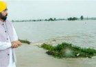 सीएम भगवंत मान  के निर्देश पर पंजाब सरकार बाढ़ प्रभावित क्षेत्रों में राहत कार्य के लिए 71.50 करोड़ रुपये  की राशि और जारी करेगी: जिम्पा