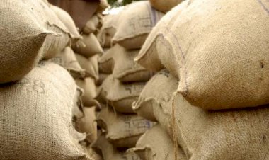 मानवीय संकट के बीच भारतीयों ने अफगानिस्तान को 10,000 मीट्रिक टन गेहूं दान किया