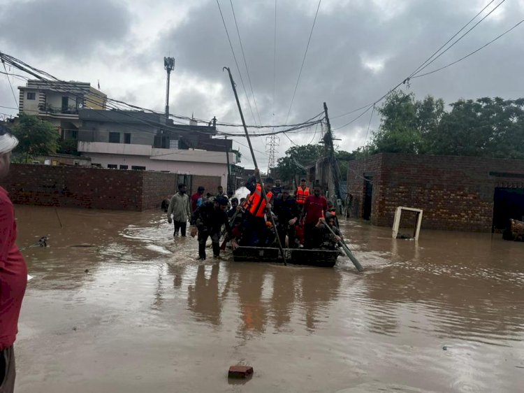 पंजाब के पटियाला, जालंधर में कई इलाकों में बाढ़, बचाव कार्य जारी
