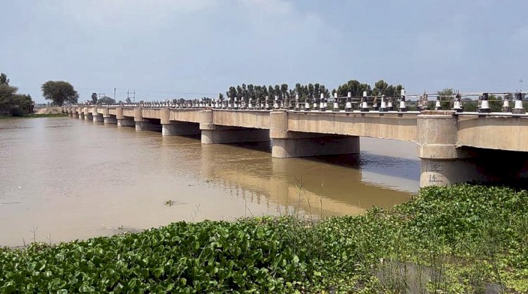 पंजाब सरकार ने  बीबीएमबी से कहा: हरियाणा, राजस्थान अतिरिक्त पानी सोखने को तैयार नहीं