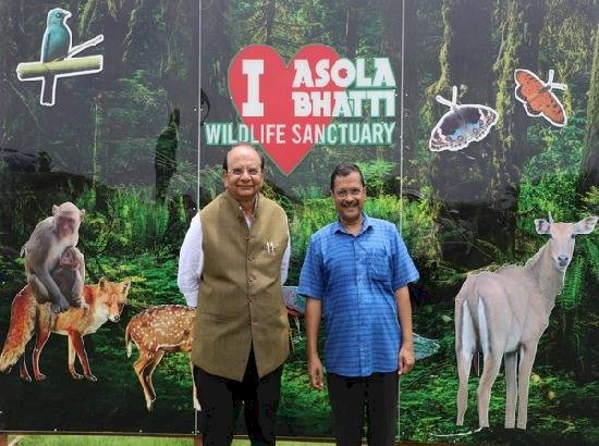 दिल्ली में तेजी से विकास के बावजूद हरित आवरण बढ़ रहा है: सीएम केजरीवाल