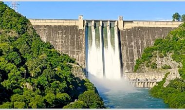 भाखड़ा बांध का पानी खतरे के निशान तक पहुंचा, 4 फ्लडगेट खोले गए