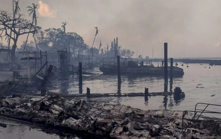 अमेरिका के हवाई जंगल आग में मरने वालों की संख्या बढ़कर 53 हो गई