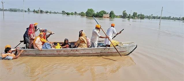 मॉनसून का प्रकोप: 22 हजार से अधिक बाढ़ग्रस्त; फाजिल्का, फिरोजपुर, तरनतारन सबसे ज्यादा प्रभावित
