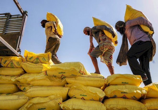 पंजाब में निजी डीलरों ने किसानों को बिक्री के लिए 90% डीएपी आवंटित किया