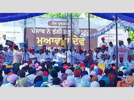 बाढ़ पीड़ितों के लिए राहत की मांग को लेकर कांग्रेस ने फिरोजपुर डीसी कार्यालय के बाहर 'आक्रोश विरोध प्रदर्शन' किया