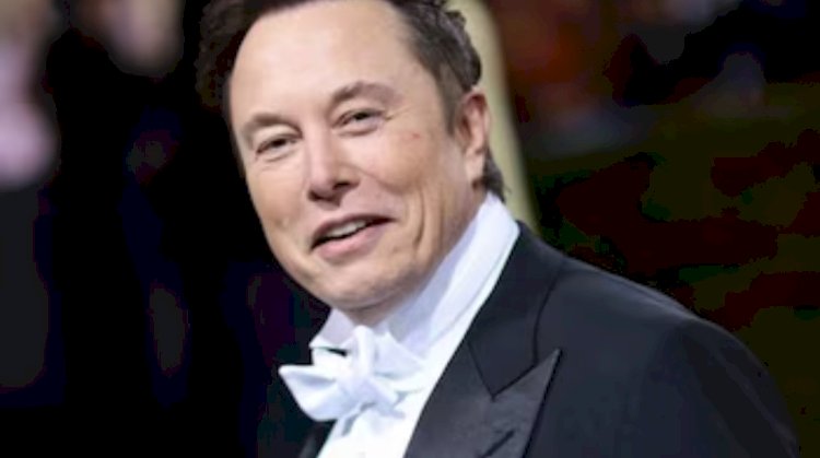 डोनाल्ड ट्रम्प की ट्विटर पर वापसी के बाद एलान मास्क ने हटा डाला ये बैन, कंपनी बोली- बोलने की सबको आजादी