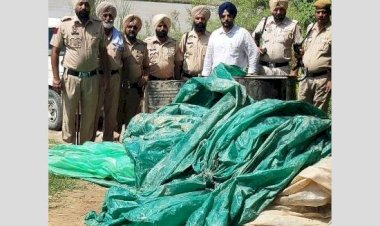 फ़िरोज़पुर में 28,800 लीटर लहन बरामद किया गया और इसके दुरुपयोग को रोकने के लिए नष्ट कर दिया गया