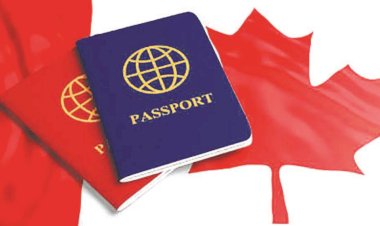 आतंकवादी, गैंगस्टर फर्जी कागजात पर कनाडा, अमेरिका भाग जाते हैं, भारत विरोधी कृत्यों में लिप्त होते हैं