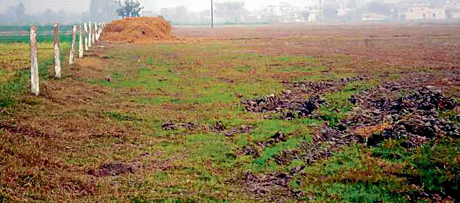 भूमि कब्ज़ा: पंजाब के मुख्यमंत्री के आदेश के बावजूद, डीसी रीयलटर्स से पैसा वसूलने में विफल रहे