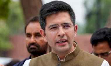 राघव चड्ढा ने राज्यसभा से अपने निलंबन के खिलाफ सर्वोच्च न्यायालय में दायर की याचिका, फर्जी हस्ताक्षर का है आरोप