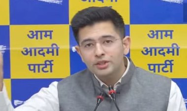 आप सांसद राघव को दिल्ली हाईकोर्ट से राहत, फैसला आने तक सरकारी बंगले में रह सकते हैं सांसद राघव चड्ढा