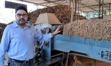 पराली जलाने का झंझट खत्म, PAU ने बनाई ये नई तकनीक, बढ़ेगी किसानों की आय