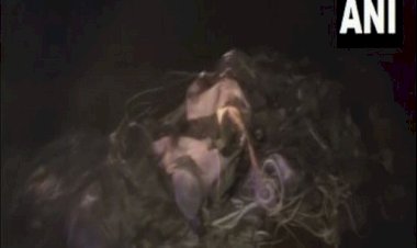 हरियाणा के यमुनानगर में तकनीकी खराबी के कारण सेना का पैराशूट दुर्घटनाग्रस्त हो गया; स्थानीय लोग दहशत में