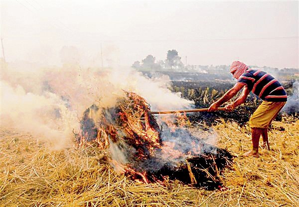खेतों में आग रोकने के लिए पंजाब 90% फसल अवशेषों का प्रबंधन करेगा