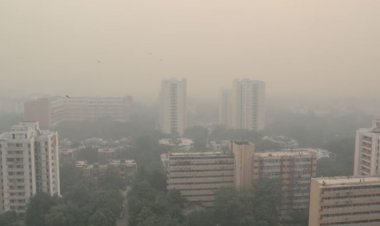 दिल्ली की हवा हुई जहरीली, आप नेता गोपाल राय ने पूछा- 'कहां हैं पर्यावरण मंत्री भूपेन्द्र यादव ?'