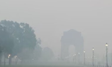 लोगों द्वारा पटाखों के साथ दिवाली मनाने के बाद दिल्ली की हवा फिर जहरीली हो गई