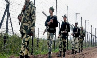 पंजाब के फिरोजपुर जिले में भारत-पाक सीमा पर बीएसएफ ने पाकिस्तानी घुसपैठिए को पकड़ा