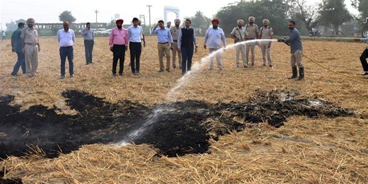 पंजाब में पराली जलाने के मामलों में तीसरे दिन भी गिरावट जारी, उल्लंघन करने वालों के खिलाफ 1084 एफआईआर दर्ज