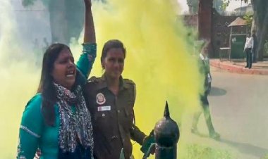 संसद सुरक्षा चूक की साजिश में 6 लोग शामिल,  शेष दो की तलाश शुरू की गई