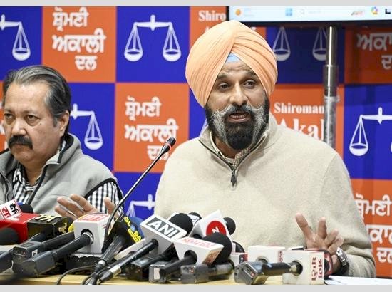 मजीठिया ने सीएम मान पर बोला निजी हमला