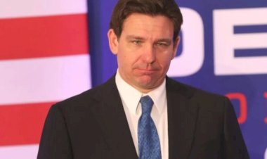 अमेरिकी राष्ट्रपति चुनाव में ट्रंप का दबदबा अमेरिकी राष्ट्रपति चुनाव में ट्रंप का दबदबा