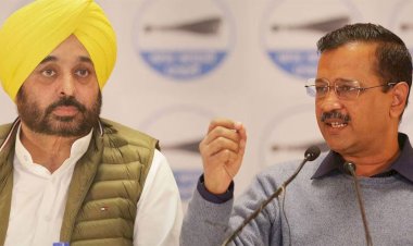 पंजाब की सभी 13 सीटों पर अकेले लोकसभा चुनाव लड़ेगी AAP