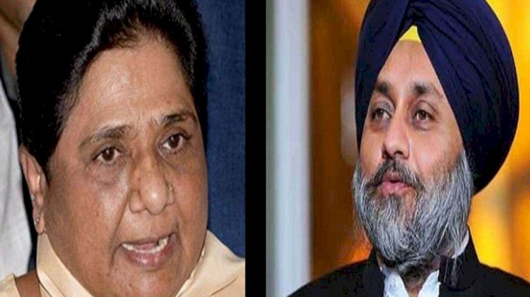 पंजाब में बरकरार रहेगा अकाली दल और BSP का गठबंधन !