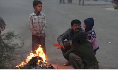 हरियाणा में शीतलहर से बढ़ी ठिठुरन, तापमान में आएगी गिरावट, जानें- अपने इलाके का हाल