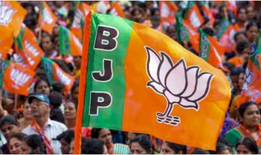 हरियाणा की 10 सीटों पर ये हो सकते है भाजपा उम्मीदवार ! उम्मीदवारों के नाम लगभग तय, 9 या 10 को हो सकते हैं घोषित !