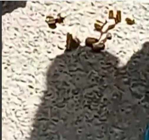 मोहाली में दिनदहाड़े गैंगवार सरेआम गोलियों से भूना गैंगस्टर