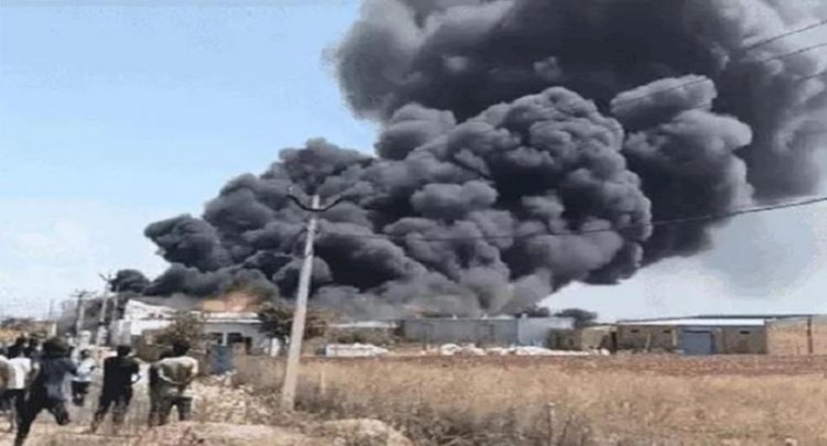 हरियाणा की गद्दा फैक्ट्री में आग लगने से 8 गायों की मौत