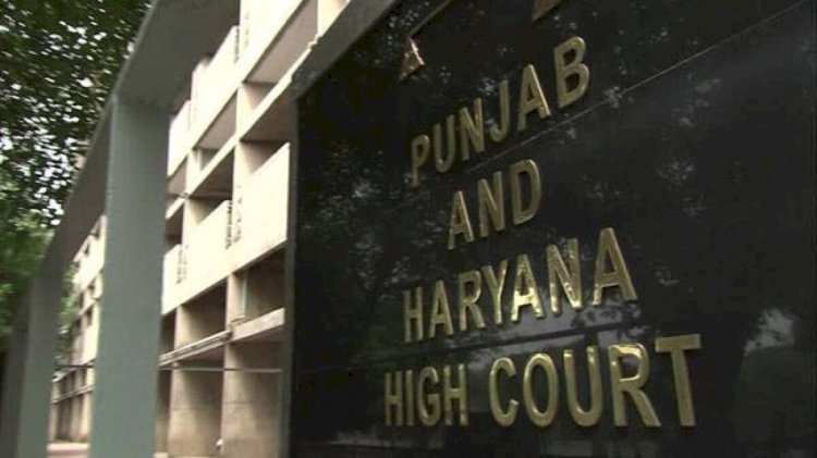 हाईकोर्ट का बड़ा फैसला, पत्नी की तरह लंबे समय से  साथ रहने वाली महिला को भी  मिलेगा गुजारा भत्ता