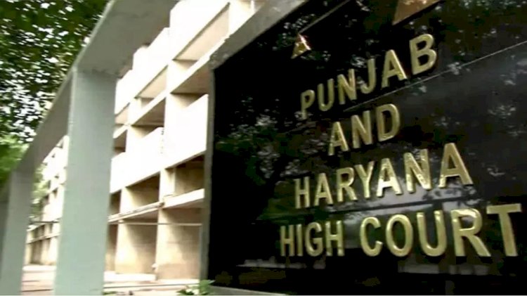 Law Officers recruitment:  124 कानून अधिकारियों की भर्ती करेगी पंजाब सरकार
