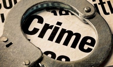 पलवल में हफ्ता देने से मना करने पर दुकानदार से मारपीट और लूटपाट, पांच समेत अन्य पर केस दर्ज