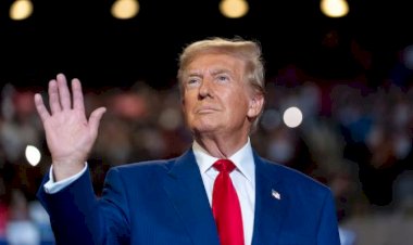 अमेरिका में फिर एक बार ट्रंप सरकार !, फॉक्स न्यूज ने ट्रंप की जीत का ऐलान किया, कमला हैरिस नहीं रच पाईं इतिहास ?